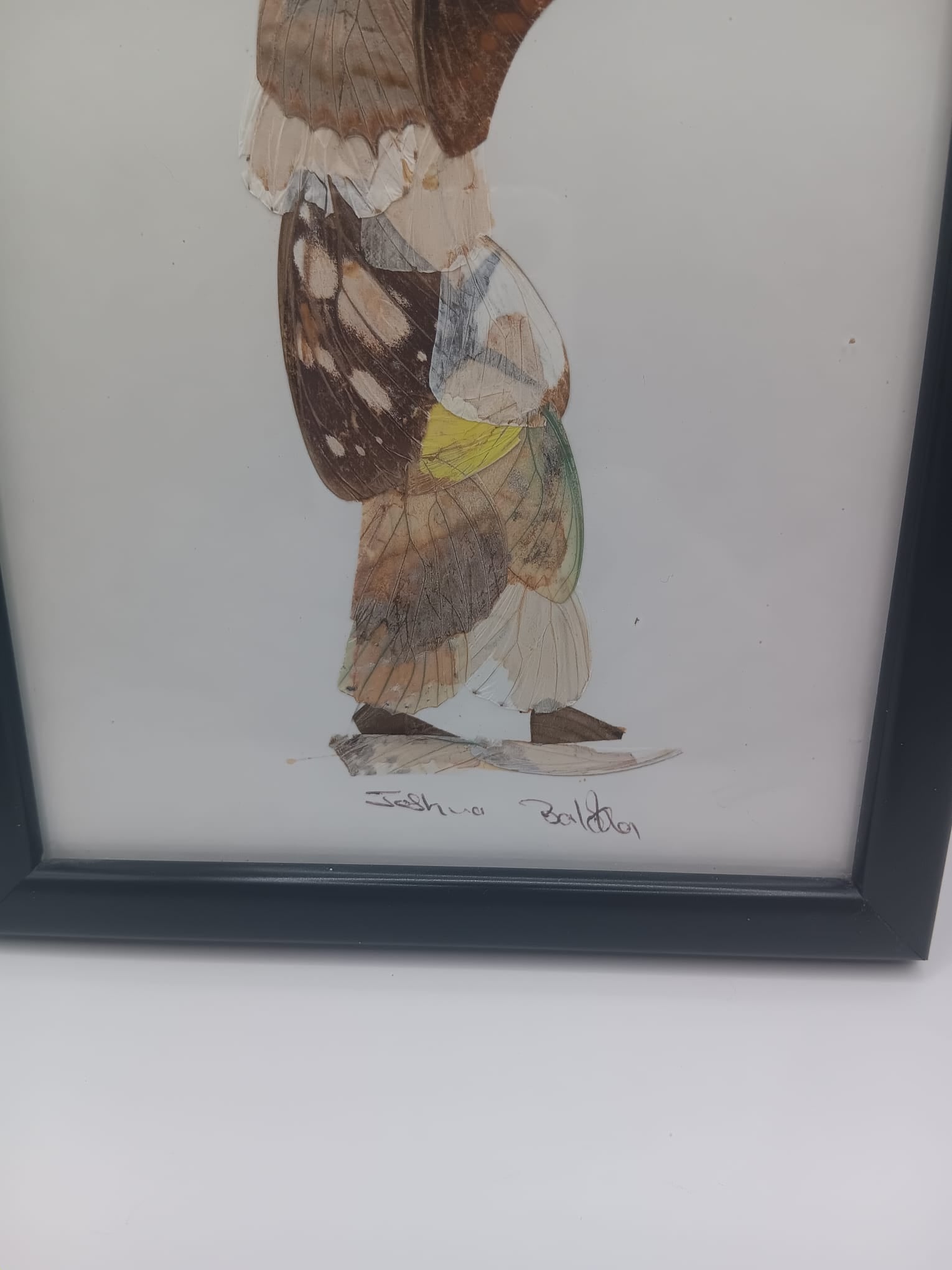 Handcrafted African Butterfly Wing Art