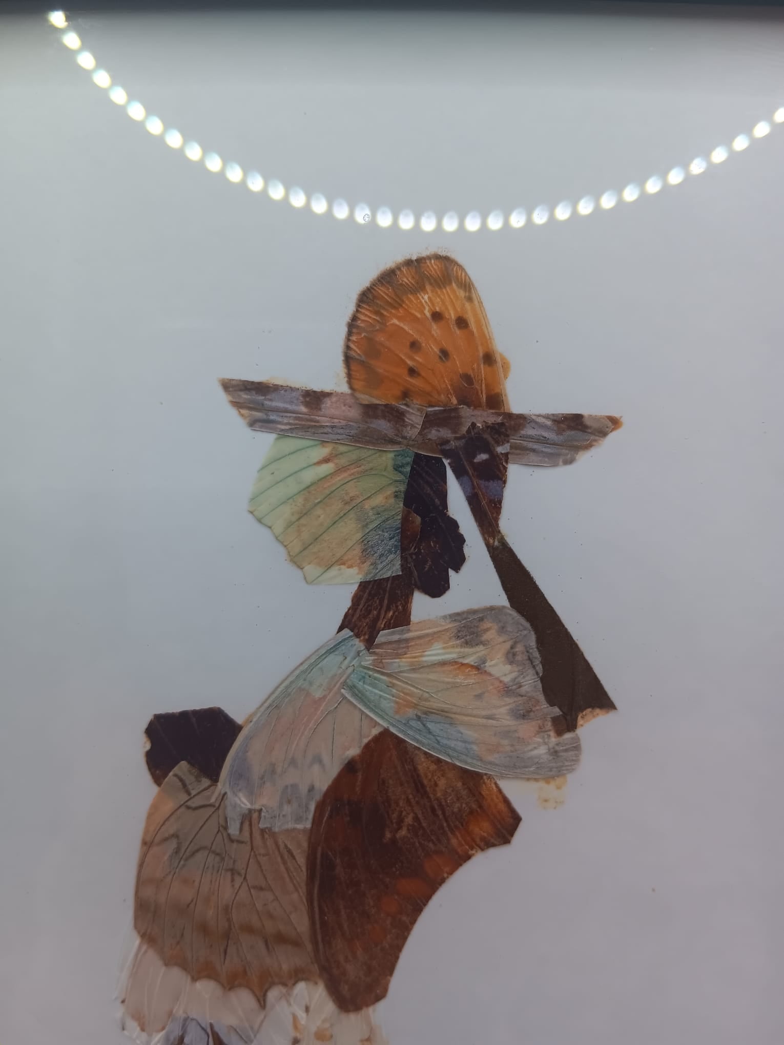 Handcrafted African Butterfly Wing Art