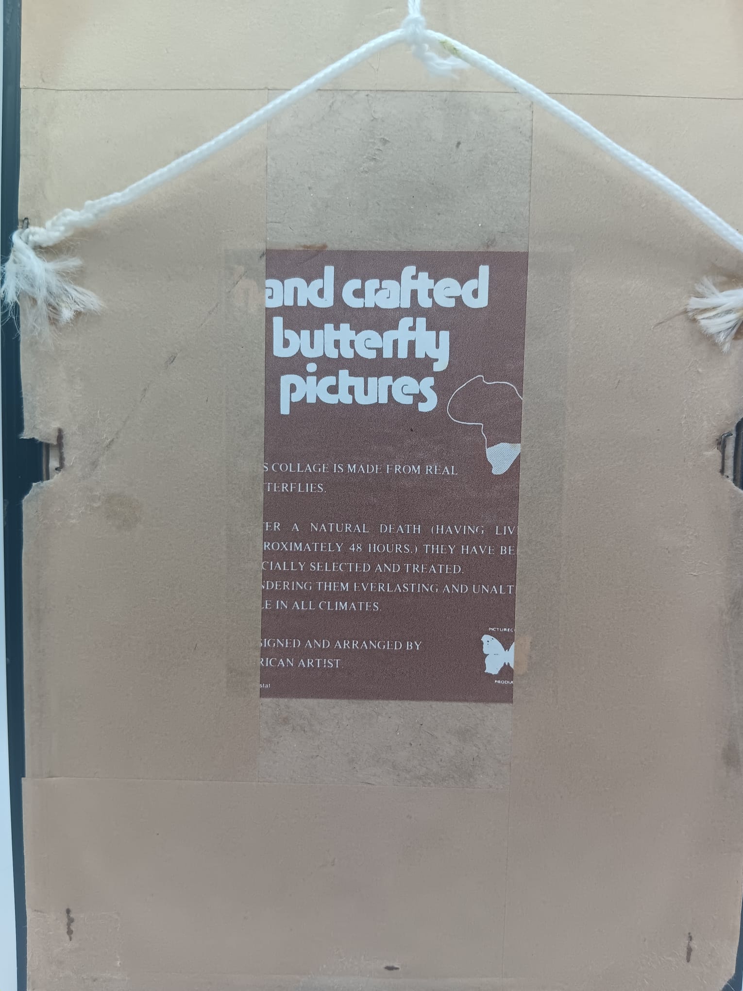 Handcrafted African Butterfly Wing Art