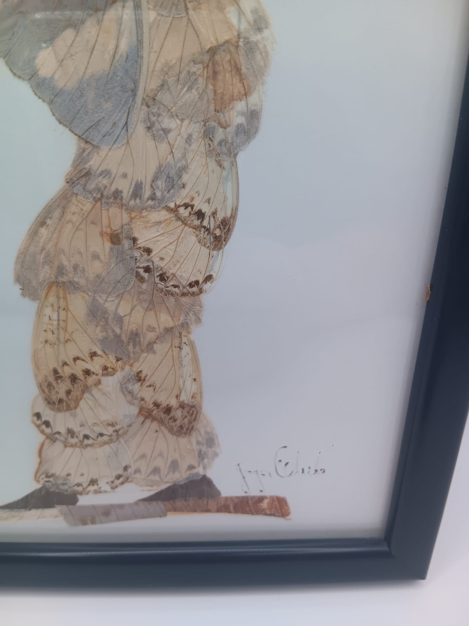 Handcrafted African Butterfly Wing Art