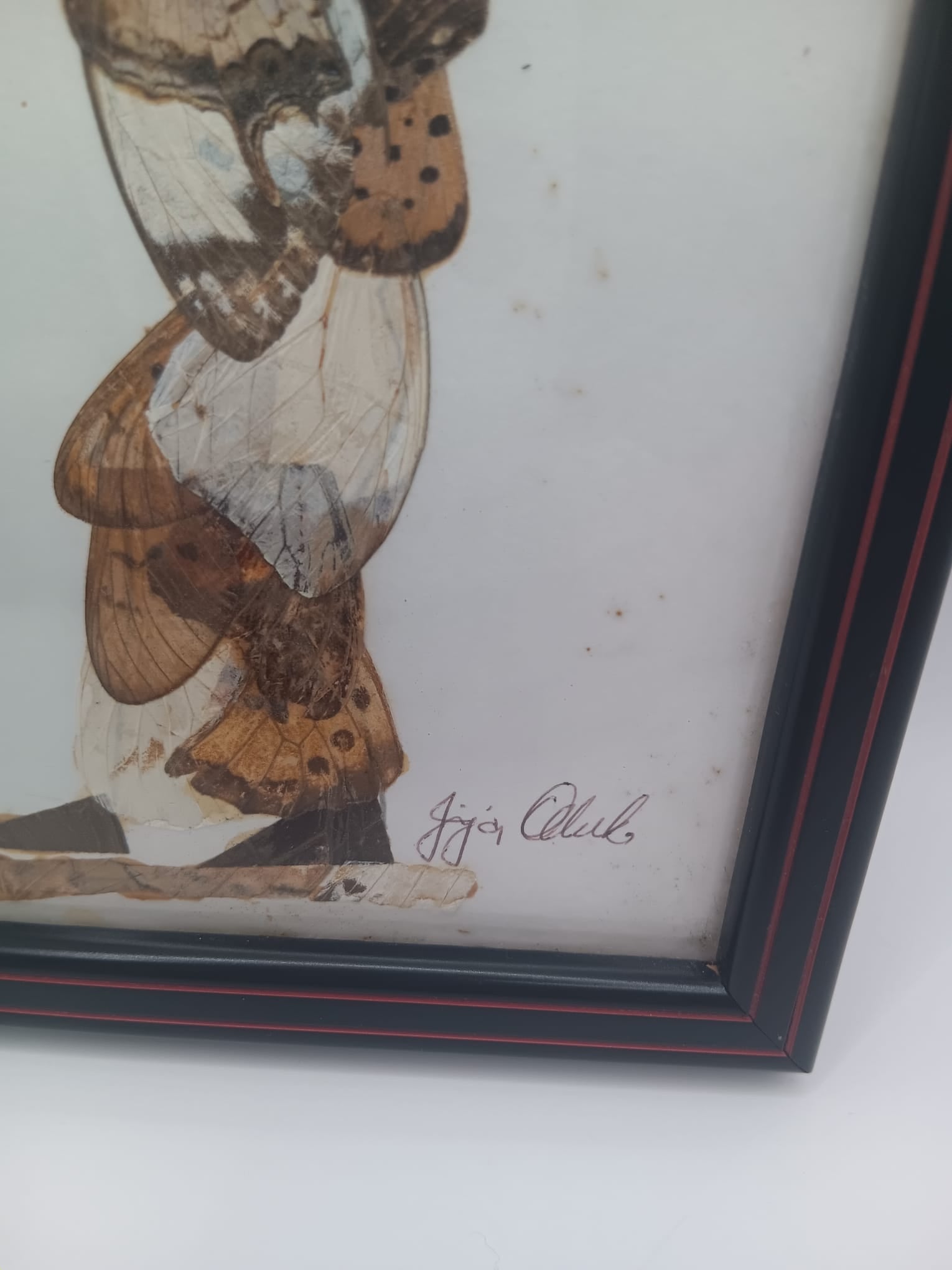 Handcrafted African Butterfly Wing Art Small