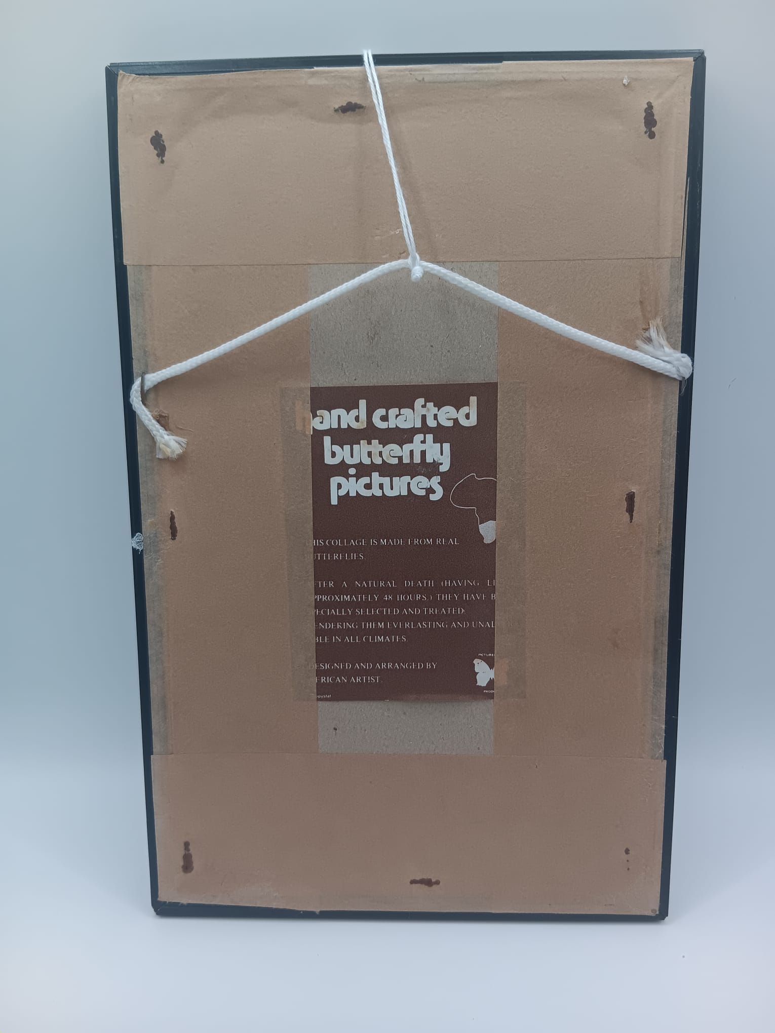 Handcrafted African Butterfly Wing Art