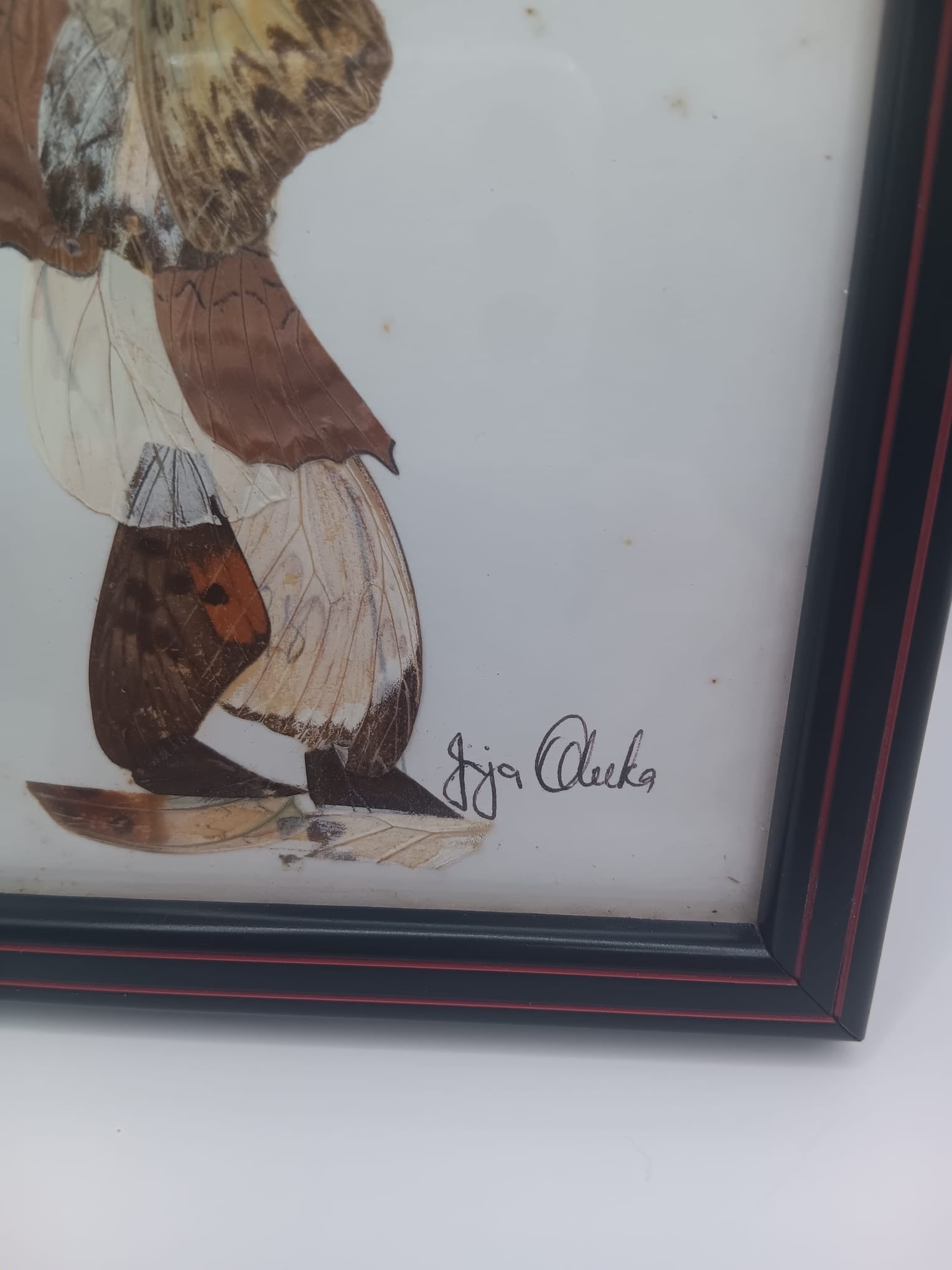 Handcrafted African Butterfly Wing Art Small