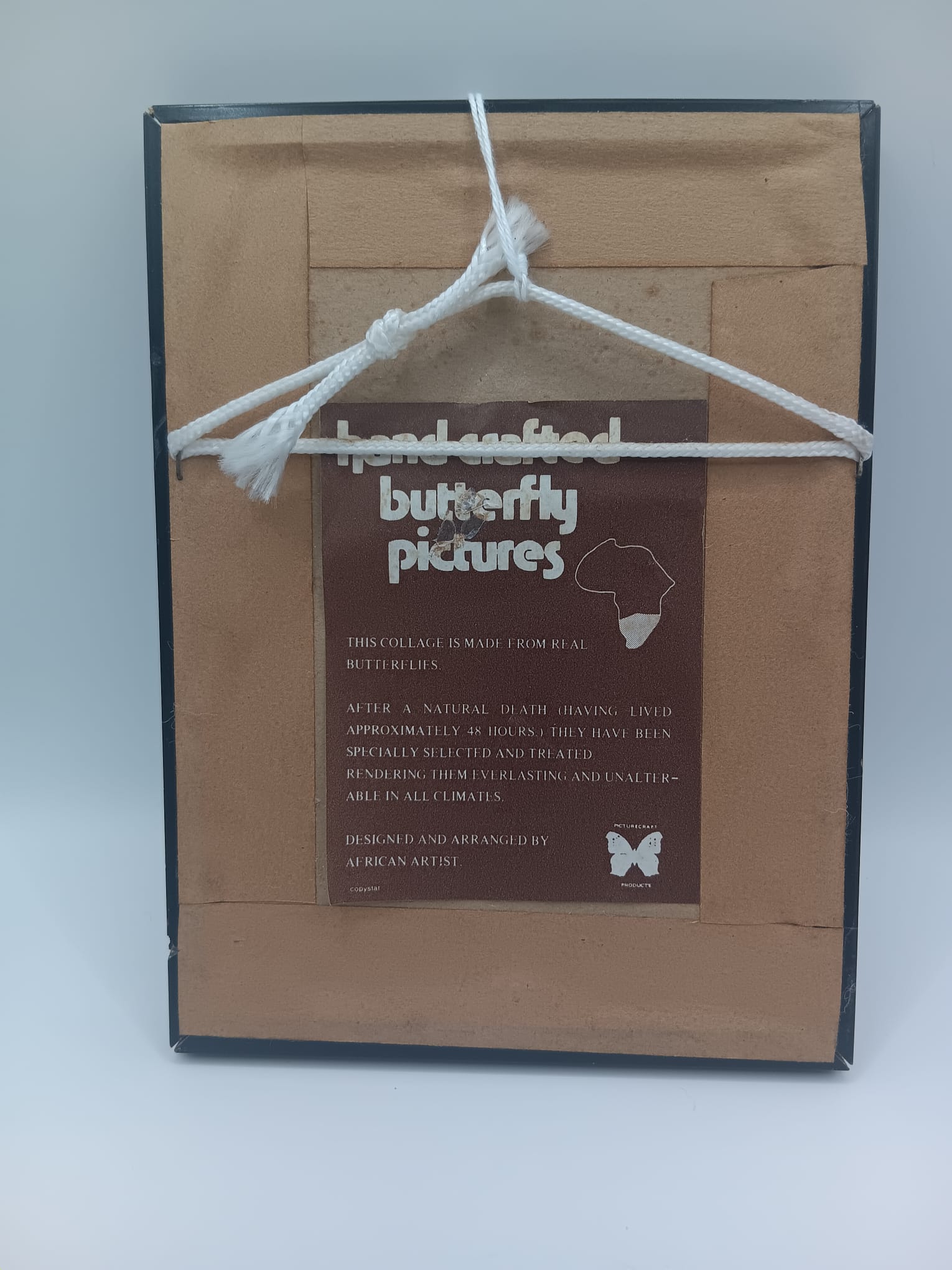 Handcrafted African Butterfly Wing Art Small