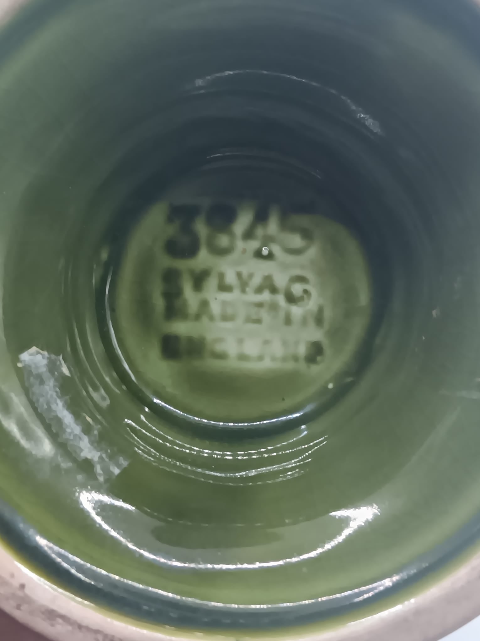 Sylvac 3845 Green Privet Pattern Goblet Vase